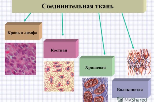 Гидра зайти кракен