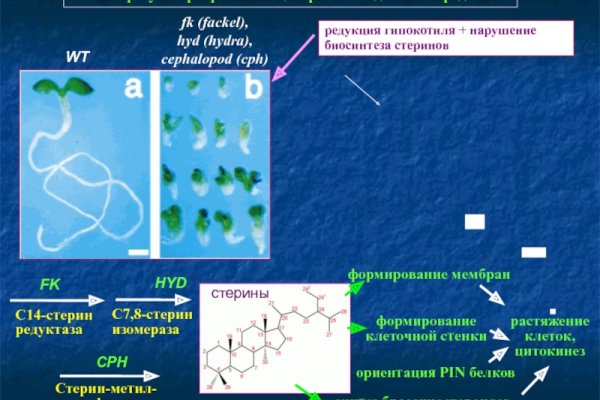 Магазины с наркотиками