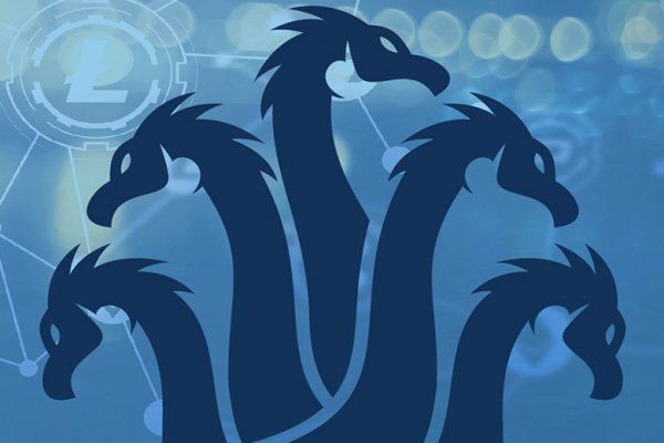 Kraken 12 at