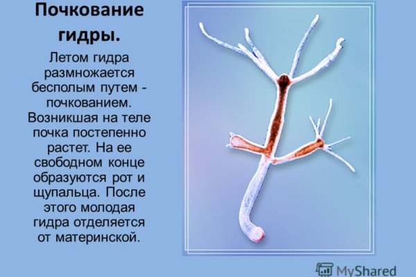 Kraken 14at