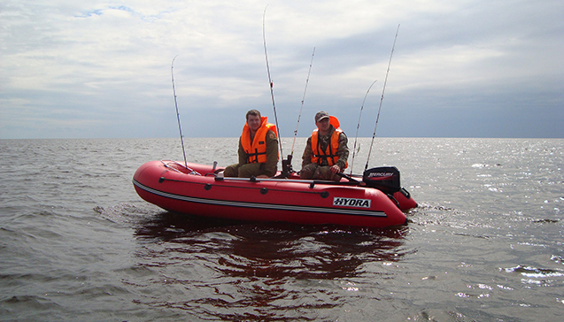 Kraken 12at зеркало