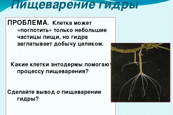 Кракен тор kr2web in